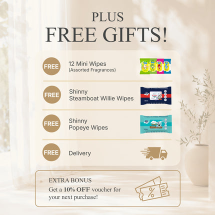 Wetty Household Essentials Box | Household Cleaning Products | Wet Wipes Bundle | Home Essentials Malaysia
