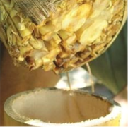 3. Tapping Process